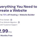 webhosting1