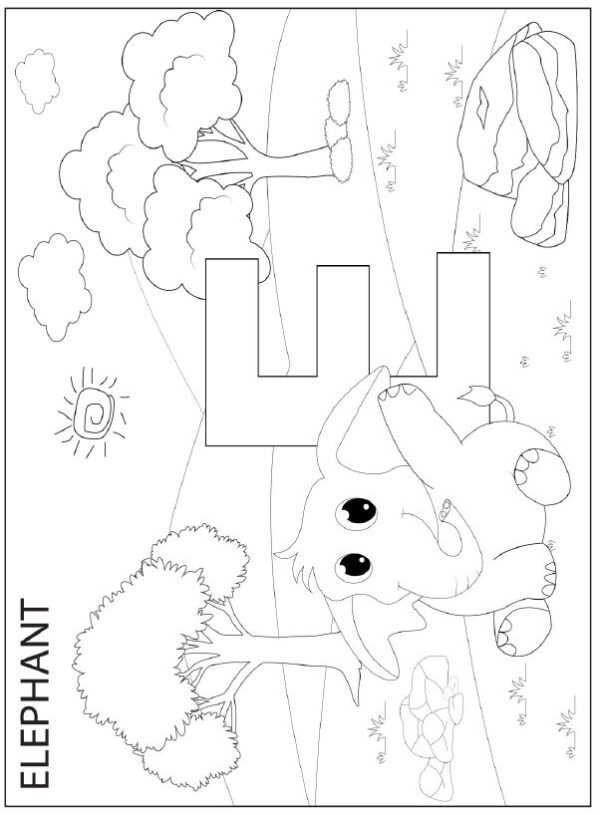 Activity Book for Kids