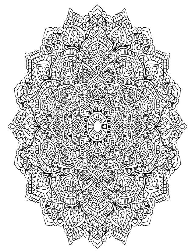 Beautiful Flowers Coloring Book