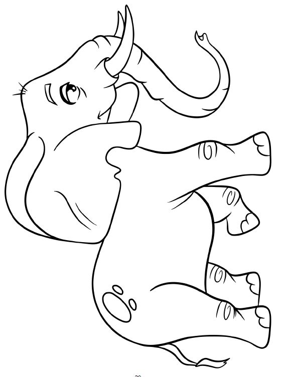 Animal Coloring Book