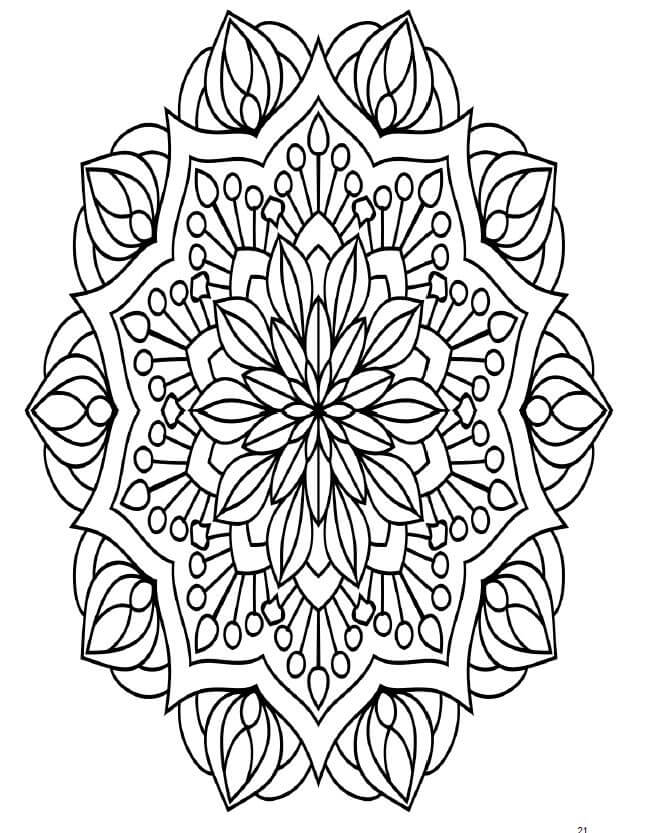 Beautiful Flowers Coloring Book