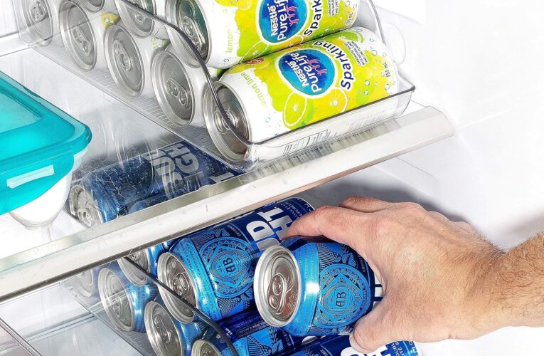 The Ultimate Guide To Choosing The Right Refrigerator Organizer