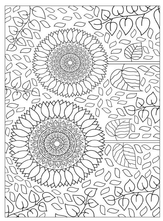 Mandala Coloring Book,