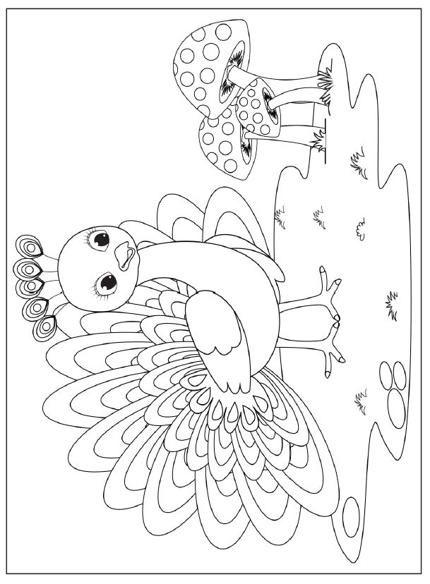 Animal Coloring Books