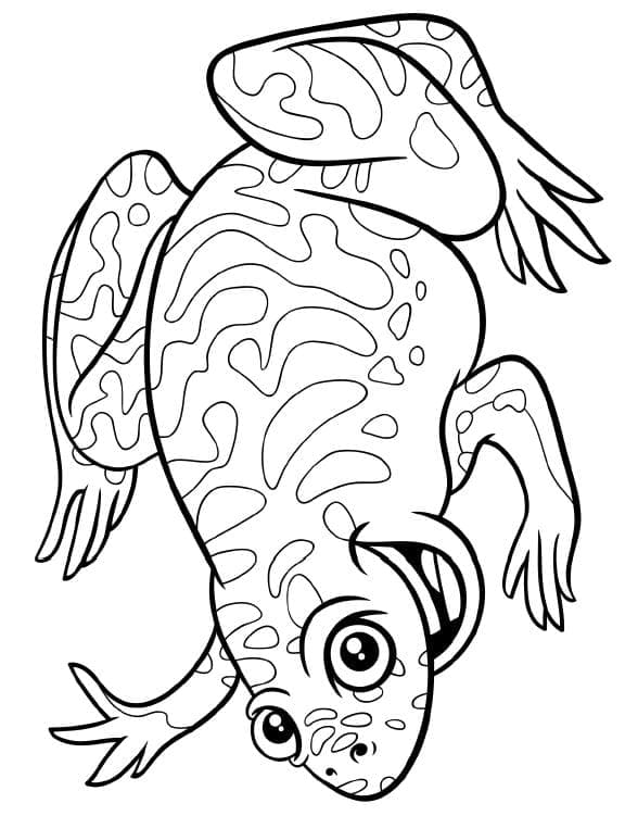 Cute frog coloring page for toddlers – simple animal design perfect for early childhood learning.